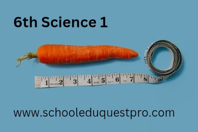 6th Science Lesson 1