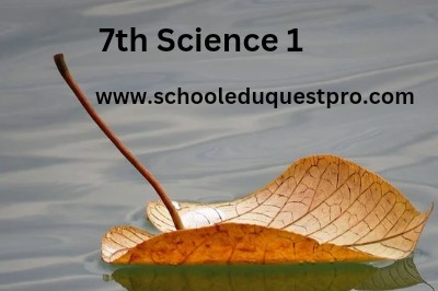 7th Science Lesson 1